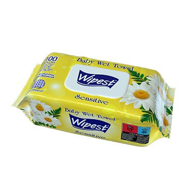 Wipest 100 PCS