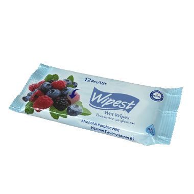Wipest 12 PCS
