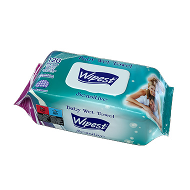 Wipest 120 PCS