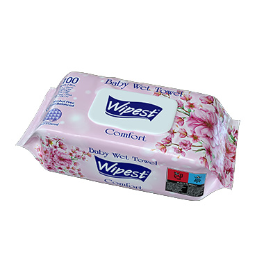 Wipest 100 PCS