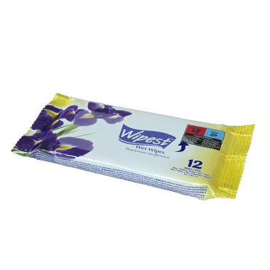 Wipest 12 PCS