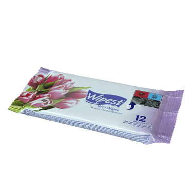 Wipest 12 PCS