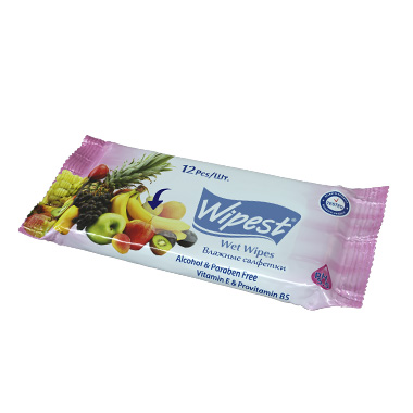Wipest 12 PCS